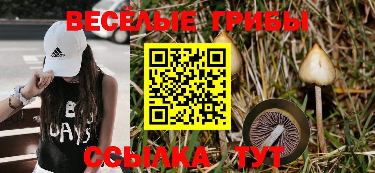 Псилоцибиновые грибы Magic Shrooms  Вход с VPN  Мелеуз 
