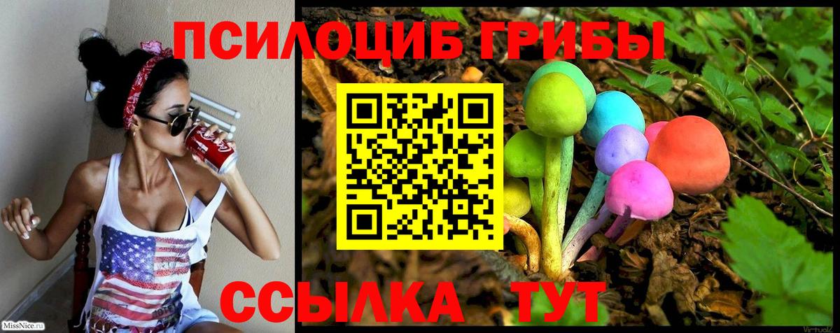 Псилоцибиновые грибы мицелий Мелеуз